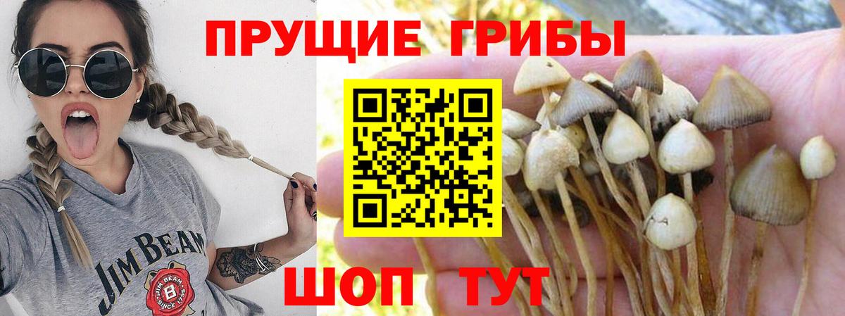 купить наркотик  Вход с VPN  Ковров  Галлюциногенные грибы Magic Shrooms 
